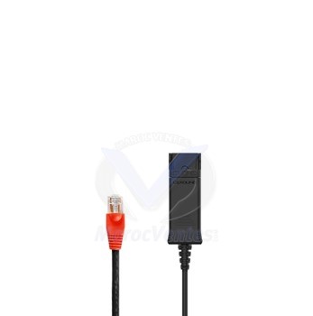 Cordon RJ9 standard X2 RJ9 Standard X2